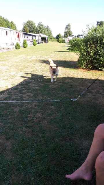 ../fotos/het_verlaat_2018/2018-07-31 18.09.53.jpg